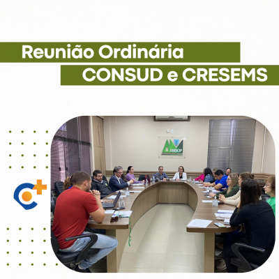 CONSUD e CRESEMS realizam reunião ordinária